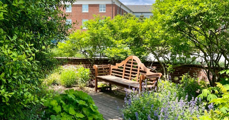 The South Greenhouse Garden