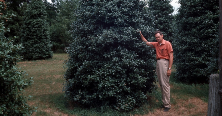 Charles Dunham in his garden with the young trees.