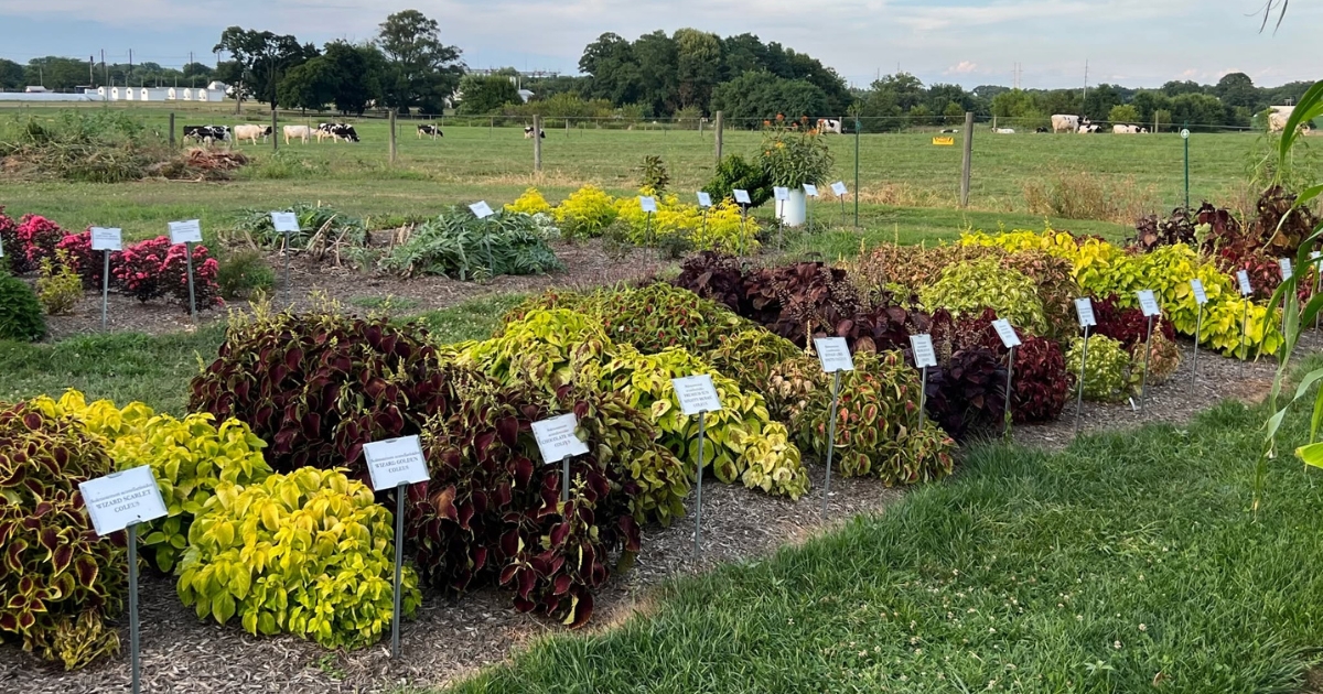 Trial gardens