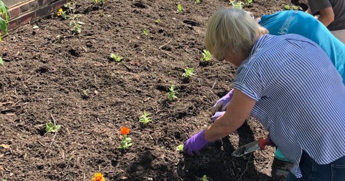 Ladies planting flowers.