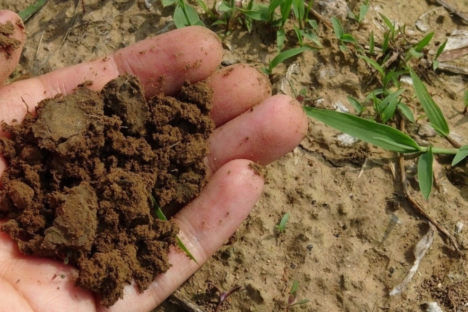 Soils