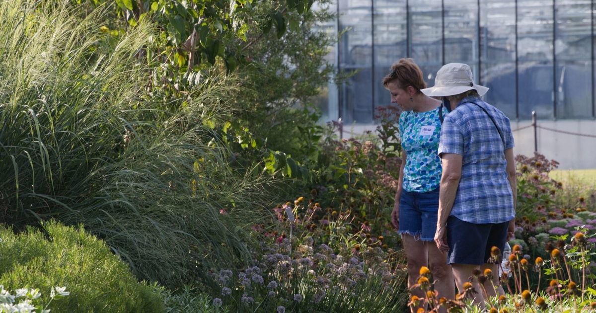 Visitors looking at plants in the Fisher Greenhouse Garden.