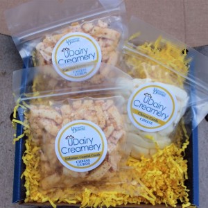 Cheddar Cheese Curds Gift Box