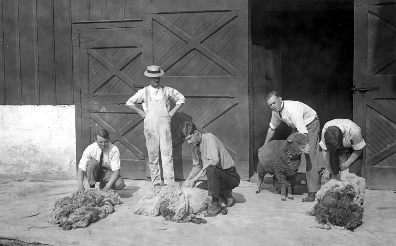 agriculture-students Photo collage of historical and current images reflecting the College of Agriculture and Natural Resources