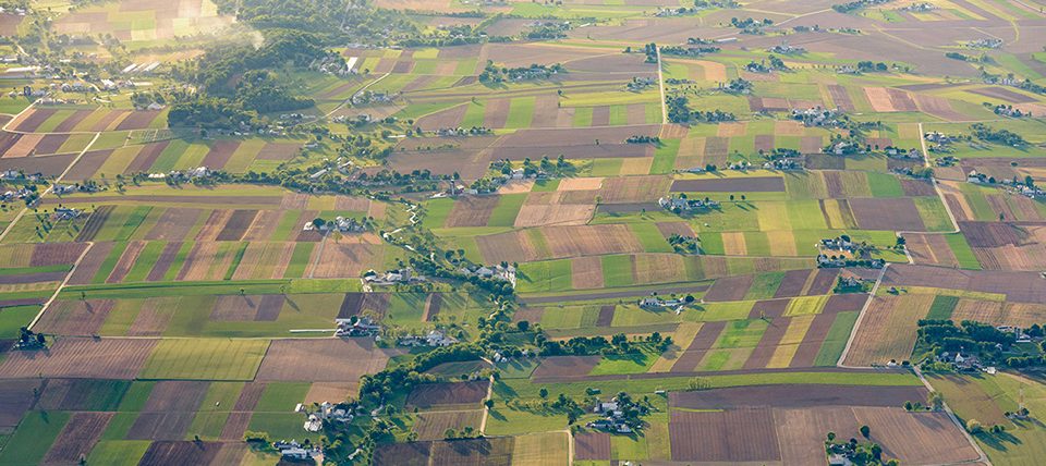 CANR-Buler-ENWC-Hot_Air_Balloon-052117 Entomology and Wildlife Ecology Landscape