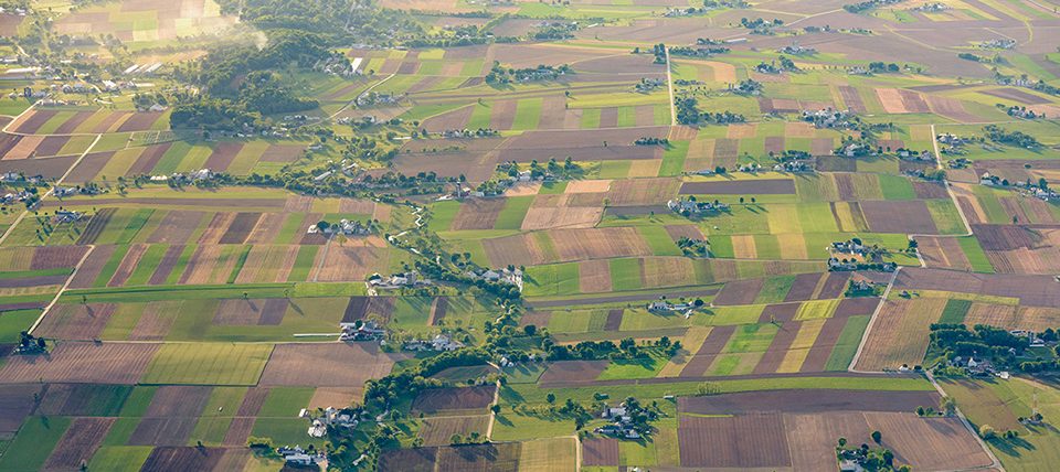 Entomology and Wildlife Ecology Landscape