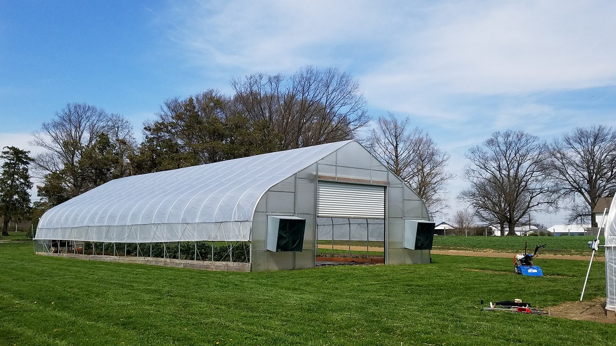 One of the UD high tunnels