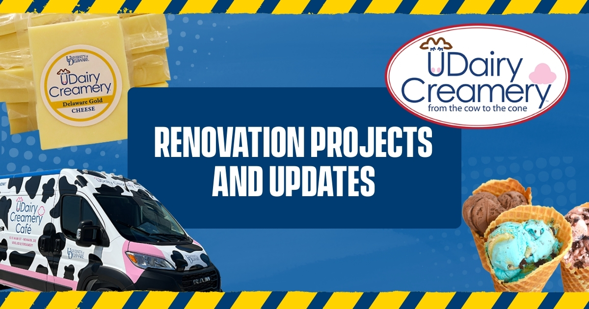 Renovation Projects and Updates