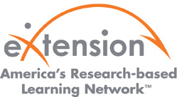 Extension network logo