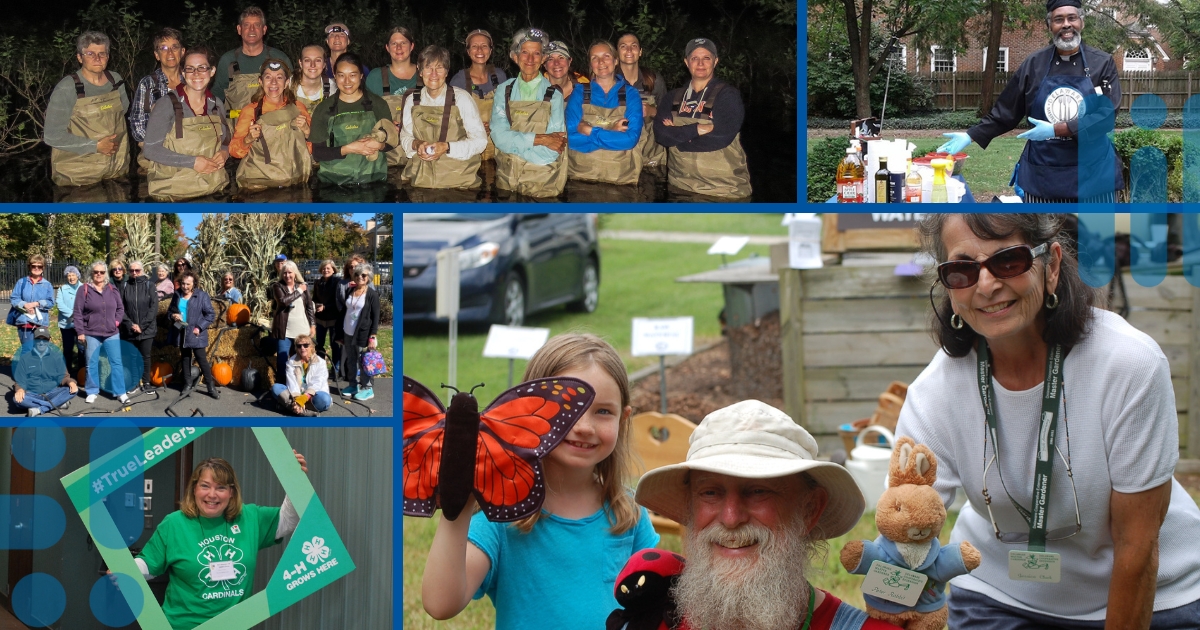 A collage of misc examples of volunteering with extension including with 4-H, Master Gardeners and Master Naturalists.