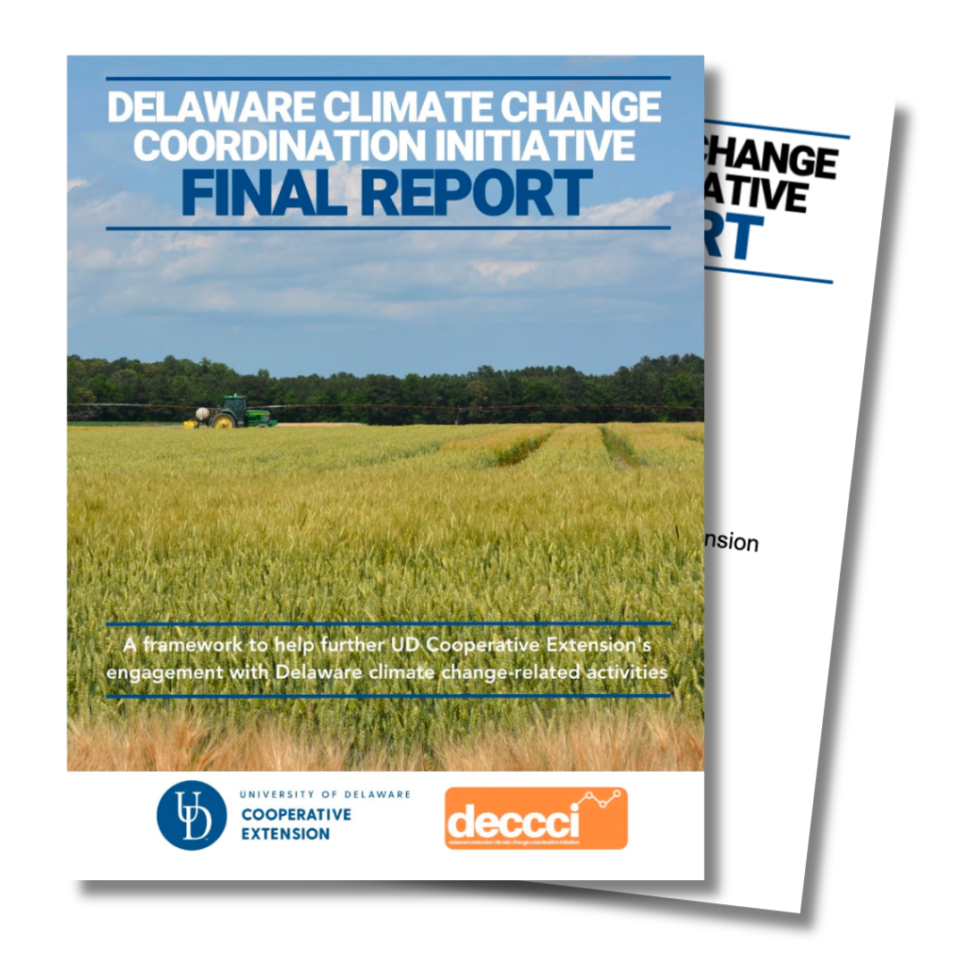 Thumbnail and link to the DECCCI Final Report