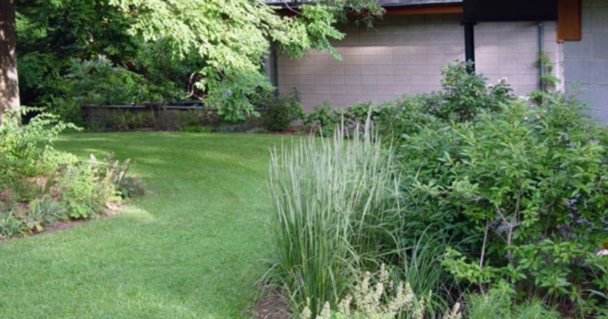 hoa2 - 1 A backyard scene
