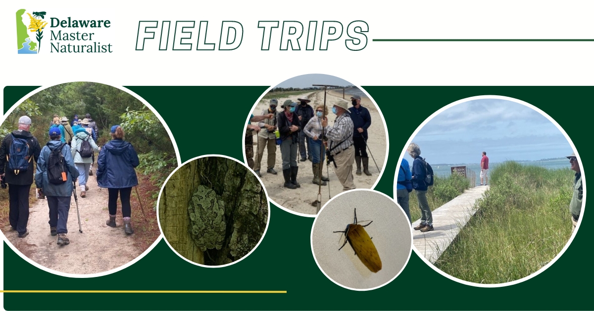 DE Master Naturalist Program Field Trip Collage