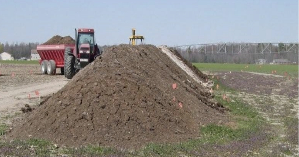 Poultry Litter and Manure Management Photo