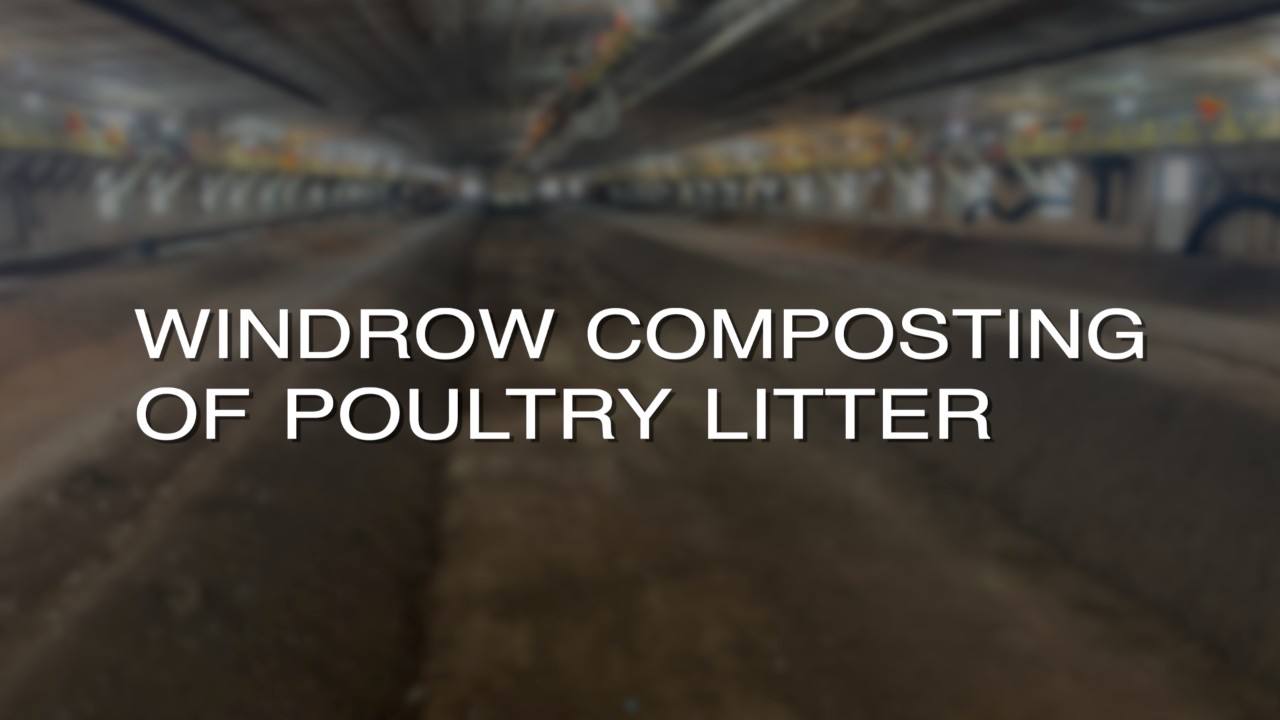 Windrow Composting Video Image