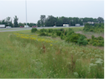 Successful example of previously mown I-95 interchange released from routine mowing that balances regional character, ecological goals & cost savings. 