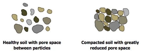 left: healthy soil with pore space between particles, right: compacted soil with greatly reduced pore space