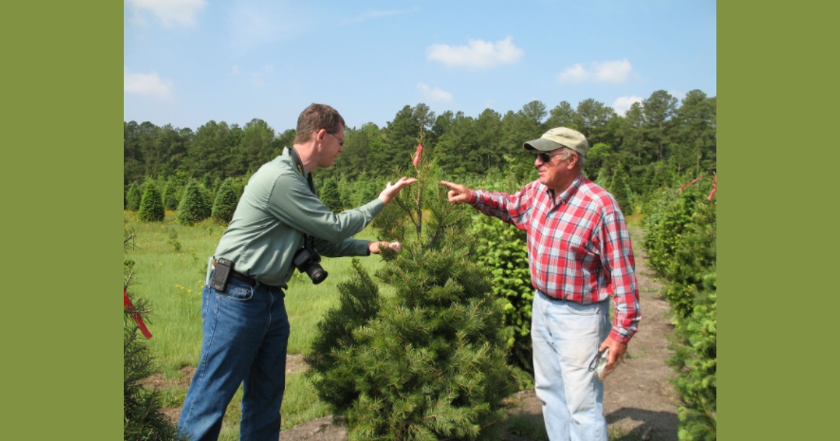ch11 - 1 Brian and Jim Landis - Christmas Tree Farm