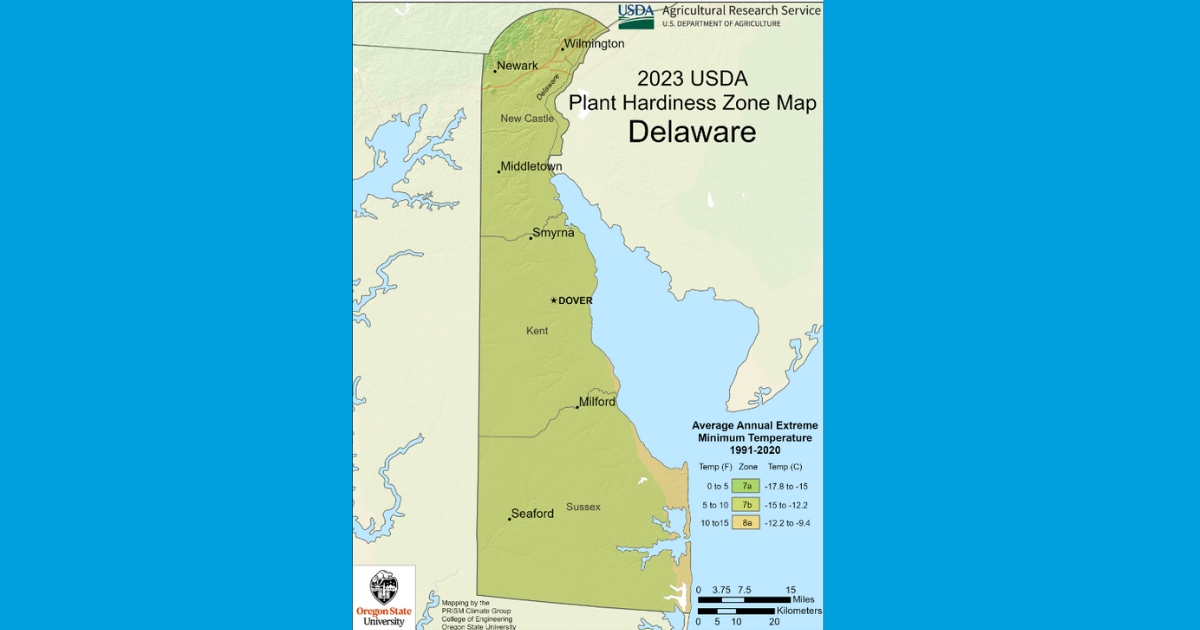 Specific hardiness zones - 2023 USDA Delaware Plant Hardiness Zone Map