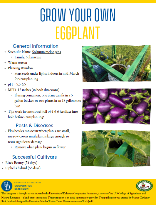 Eggplant Fact Sheet Thumbnail