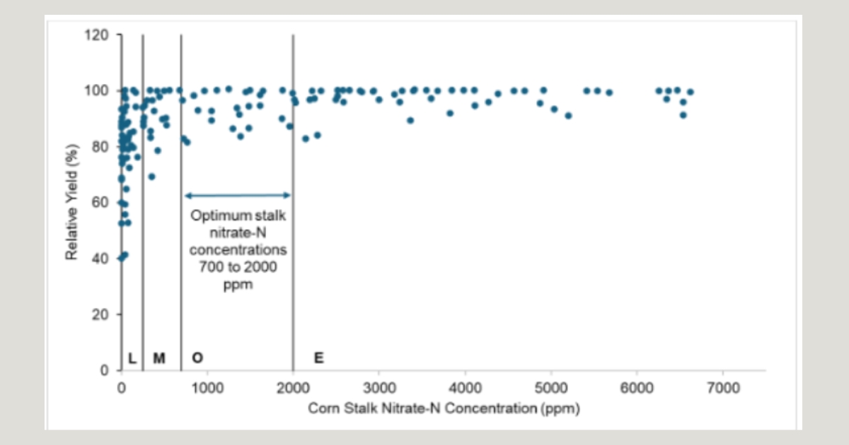 end44 - 1 Figure 4. Interpretation of corn stalk nitrate tests (CSNT) based on field studies conducted in Delaware where L = low, M = marginal, O = optimum, and E = excessive (Sims et al., 1995).