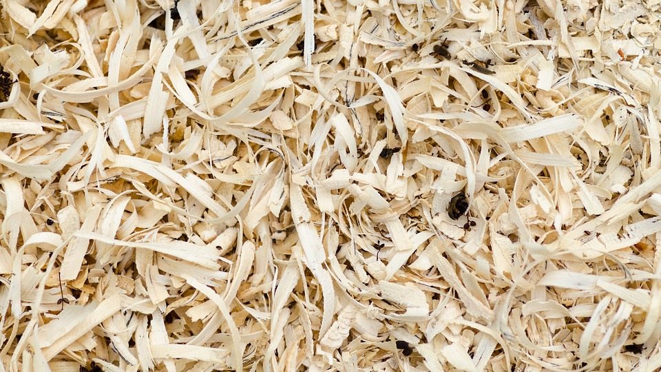 Hardwood Sawdust as Poultry Bedding