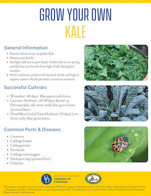 A thumbnail of the kale factsheet