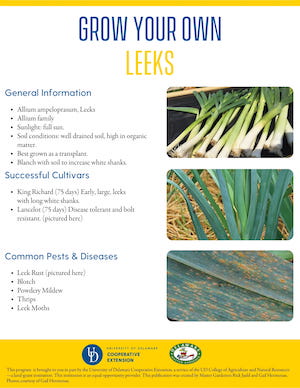 A thumbnail of the leeks factsheet