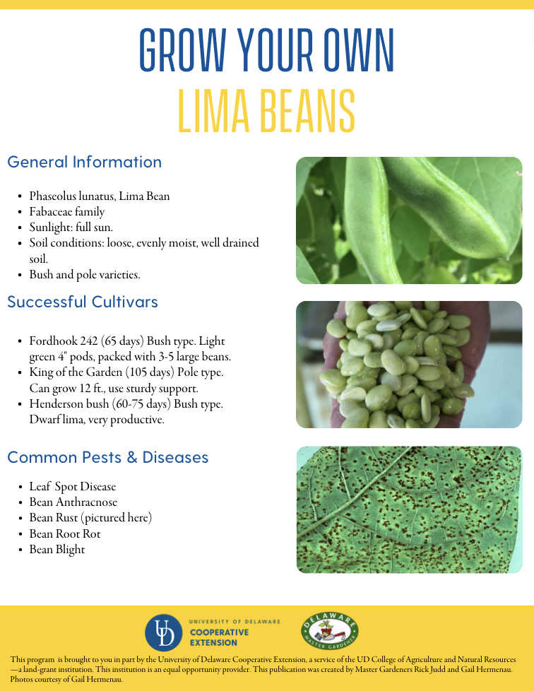 A thumbnail of the lima beans factsheet