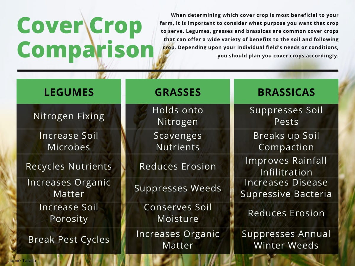 Graphic with text. "When determining which cover crop is most beneficial to your farm, it is important to consider what purpose you want that crop to serve. Legumes, grasses and brassicas are common cover crops that can offer a wide variety of benefits to the soil and following crop. Depending upon your individual field's needs or conditions, you should plan you cover crops accordingly. Legumes: Nitrogen Fixing, Increase Soil Microbes, Recycles Nutrients, Increases Organic Matter, Increase Soil Porosity, Break Pest Cycles. Grasses: Holds onto Nitrogen, Scavenges Nutrients, Reduces Erosion, Suppresses Weeds, Conserves Soil Moisture, Increases Organic Matter. Brassicas: Suppresses Soil Pests, Breaks up Soil Compaction, Improves Rainfall Infiltration, Increases Disease Supressive Bacteria, Reduces Erosion, Suppresses Annual Winter Weeds."