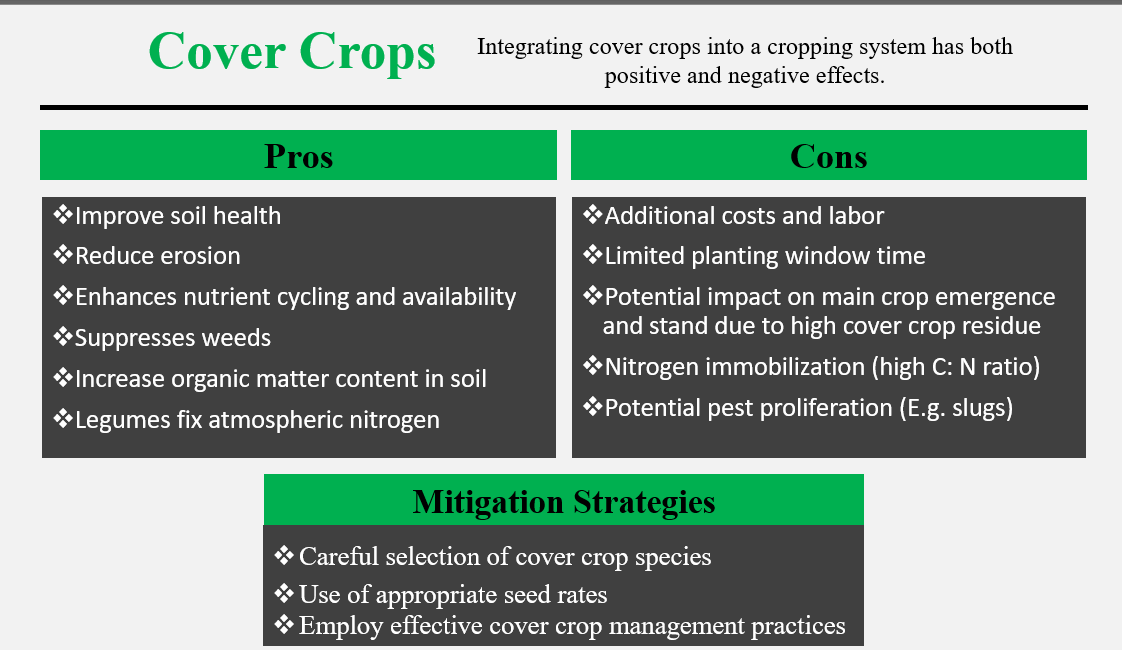 Graphic with text. "Integrating cover crops into a cropping system has both positive and negative effects. Pros: Improve soil health, Reduce erosion, Enhances nutrient cycling and availability, Suppresses weeds, Increase organic matter content in soil , Legumes fix atmospheric nitrogen. Cons: Additional costs and labor, Limited planting window time, Potential impact on main crop emergence and stand due to high cover crop residue, Nitrogen immobilization (high C: N ratio), Potential pest proliferation (E.g. slugs). Mitigation Strategies: Careful selection of cover crop species, Use of appropriate seed rates, Employ effective cover crop management practices.