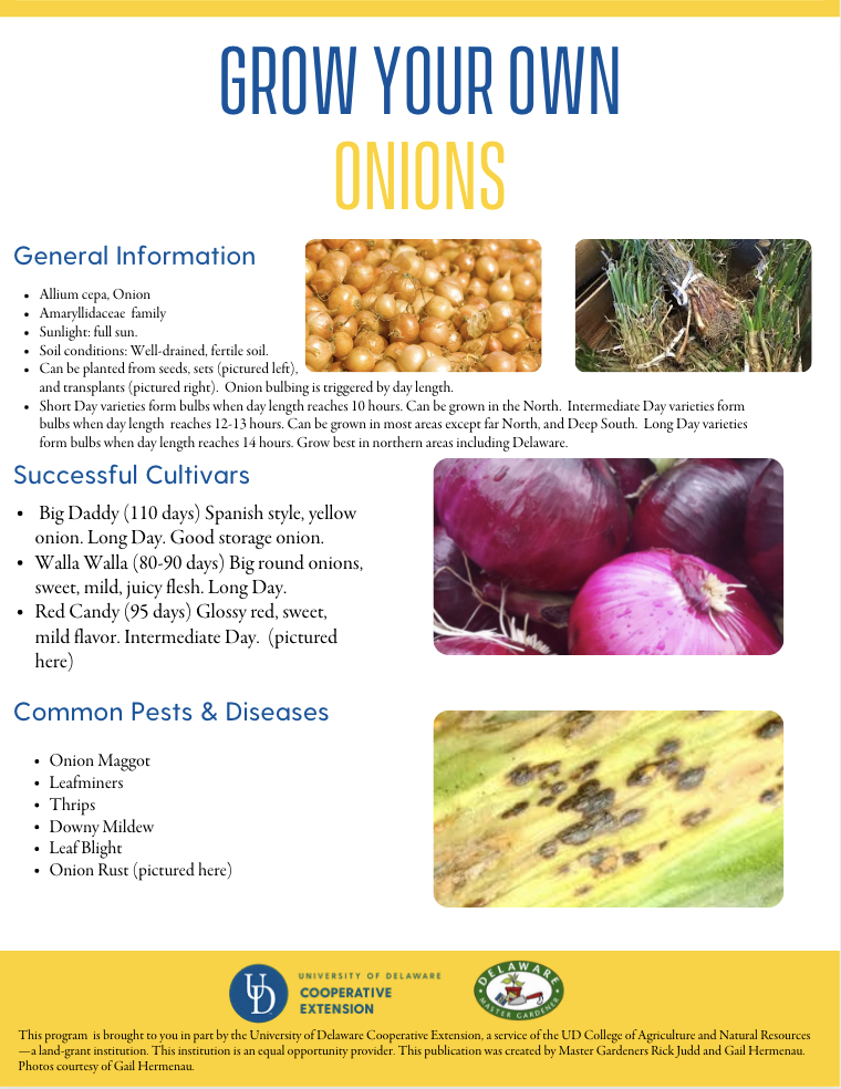 A thumbnail of the onions factsheet
