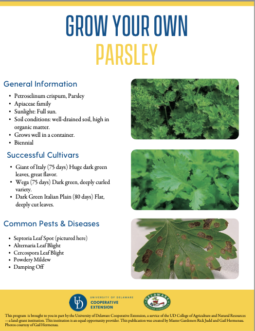 A thumbnail of the parsley facsheet