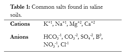Common salts found in saline soils