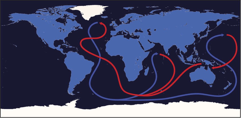 world map displaying the Atlantic meridional overturning circulation path, red arrows depicting warm water and blue arrows depicting cold water