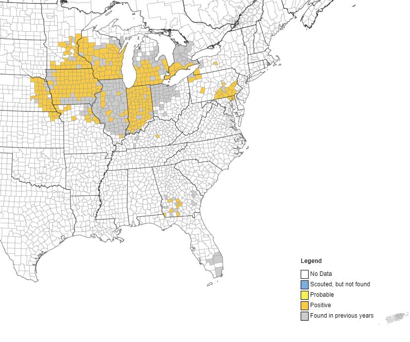 Fig 1: Tar Spot Distribution in the US in on October 25, 2022 https://corn.ipmpipe.org/tarspot/