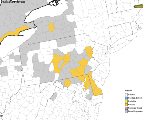 Fig 1: Tar Spot Distribution as of Aug. 2025 https://corn.ipmpipe.org/tarspot/