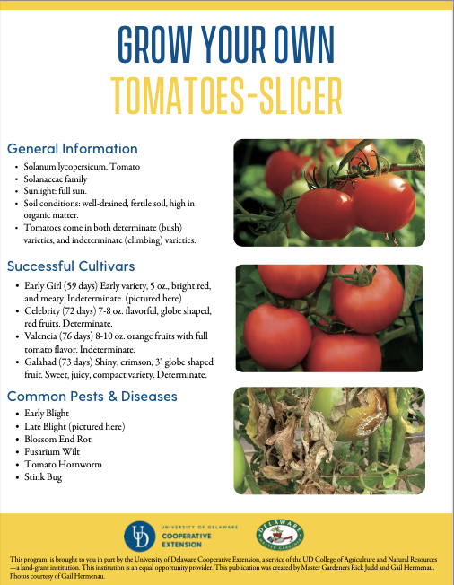 A thumbnail of the slicer Tomatoes factsheet