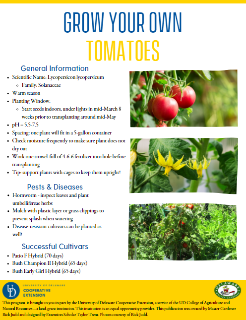 A thumbnail of the Tomatoes factsheet