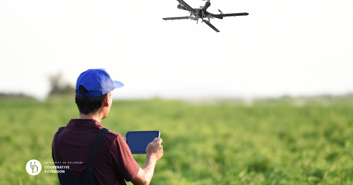 A man flying a drone over a field A man flying a drone over a field