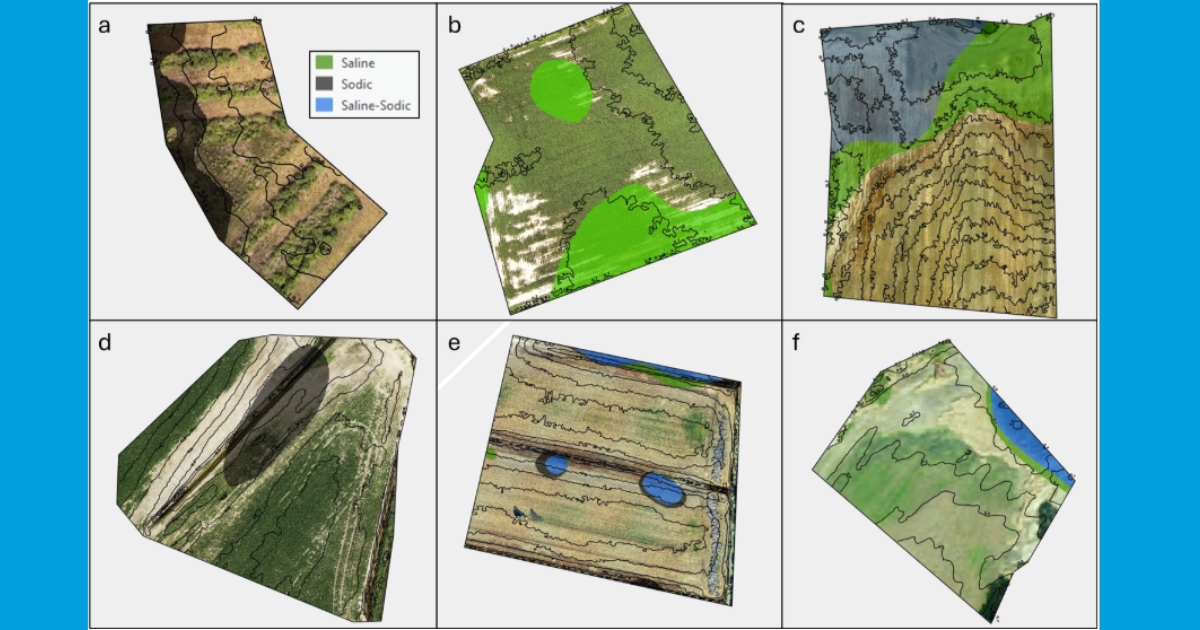 jar13 - 1 Figure 2: Six fields with saline (green), sodic (black), and saline-sodic (blue) regions mapped. Fields border tidal creeks and wetlands (a, b, c, f) and two include field ditches (d, e).