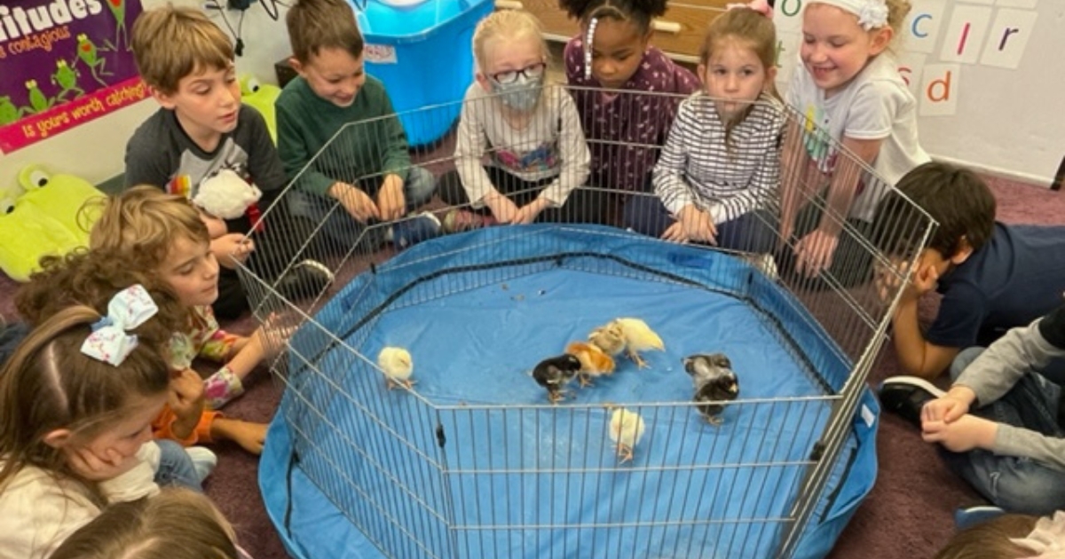 Kids at a local school enjoying the Embryology program