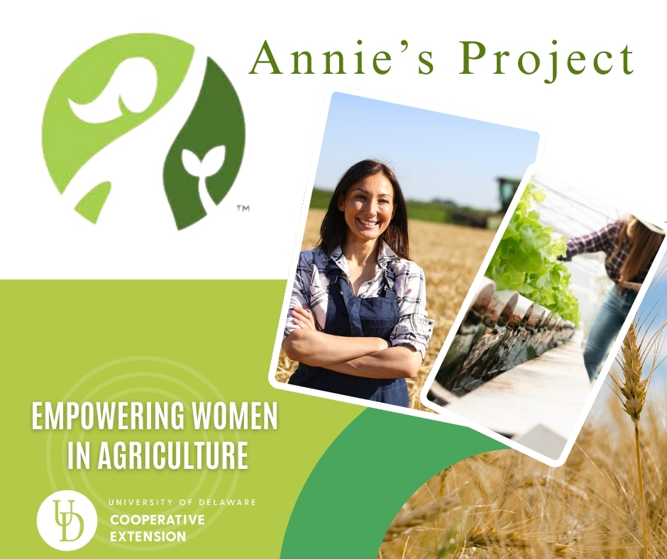 Annie's Project Photo Annie's Project Photo