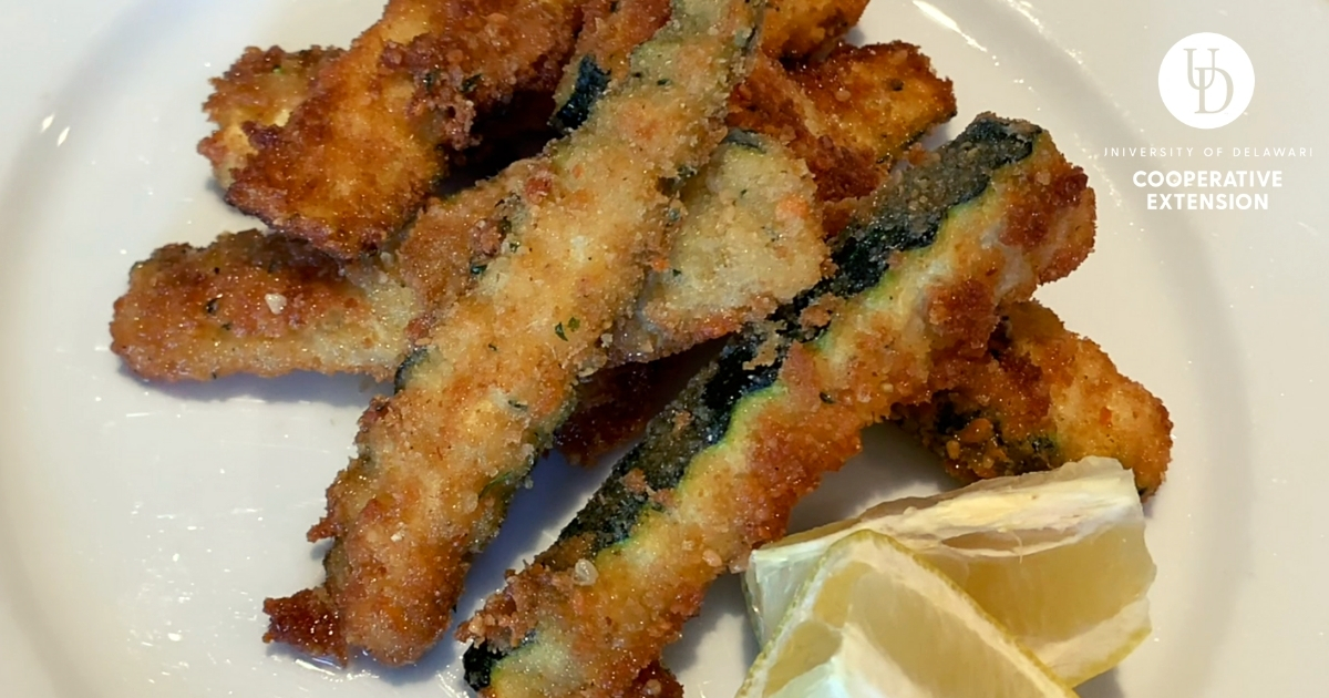 Up close to a plate of zucchini fries.