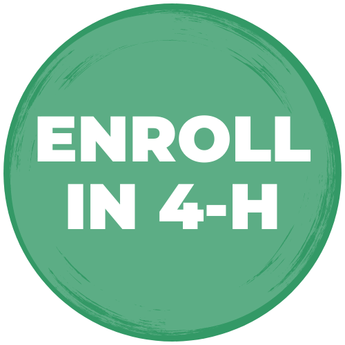 Button: Enroll in 4-H