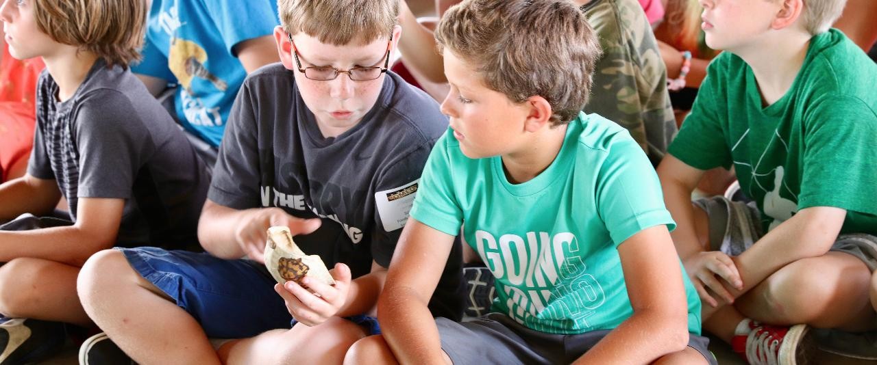 Kent County Campers looking at turtles 
