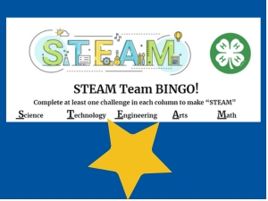 Button for STEAM Team Bingo Lesson
