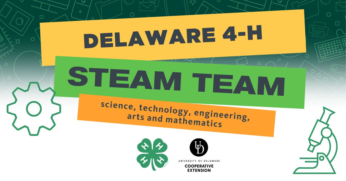 Logo: The Delaware 4-H STEAM Team!