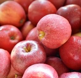 Red apples in a pile