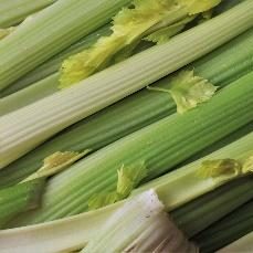 A bunch of celery